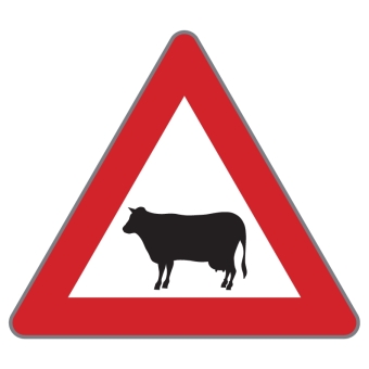 §50/13a Achtung Tiere