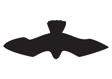 Raubvogelsymbol 'I' schwarz matt, selbstklebend