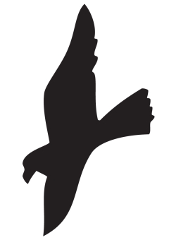 Raubvogelsymbol 'II' schwarz matt, selbstklebend