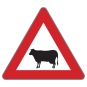 §50/13a Achtung Tiere