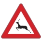 §50/13b Achtung Wildwechsel