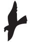 Raubvogelsymbol 'II' schwarz matt, selbstklebend
